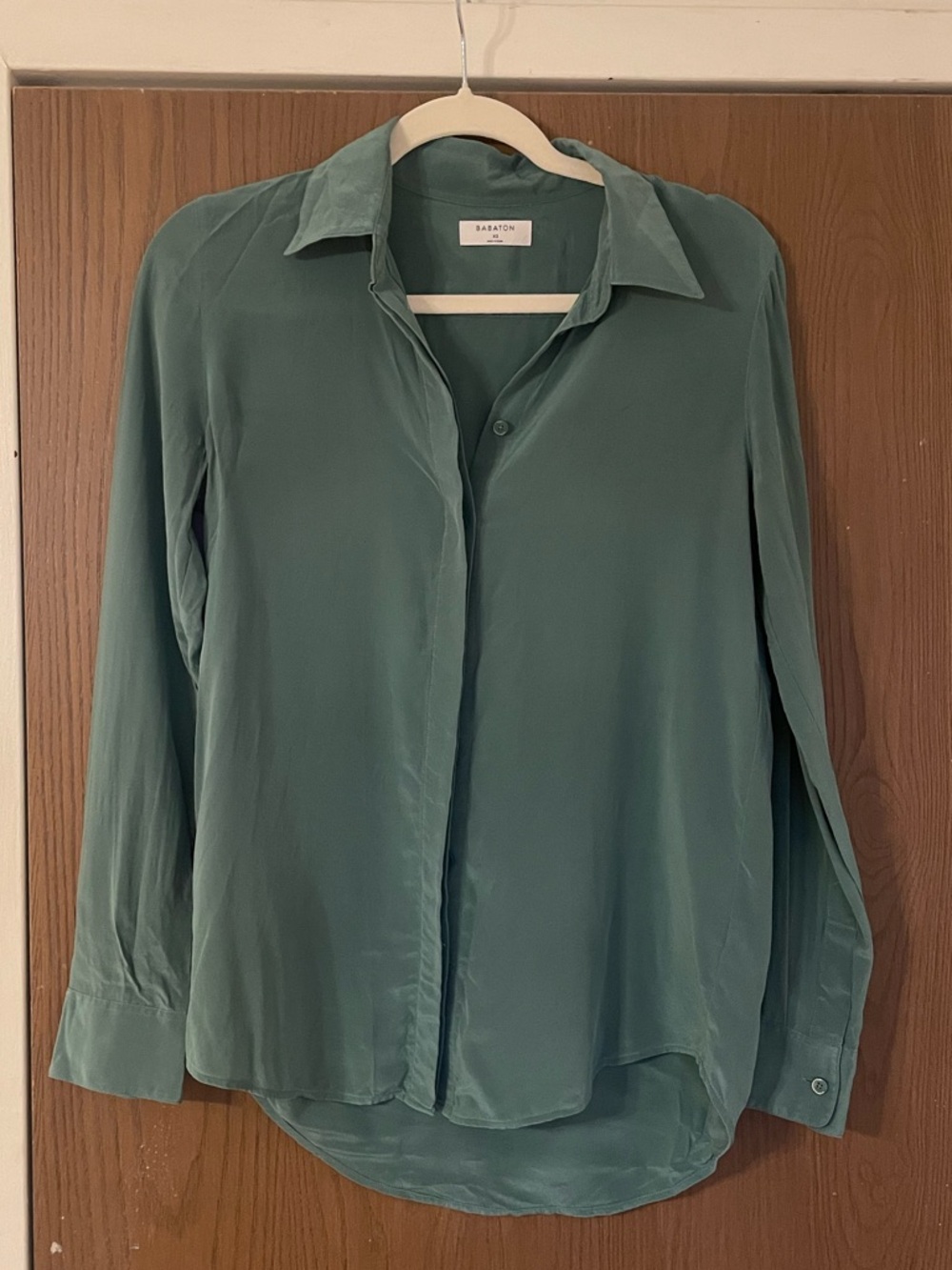 Aritzia Babaton Green Silk Button-Down Shirt